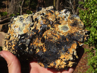 Natural Schorl Black Tourmaline With Hyalite Specimen x 1 From Erongo, Namibia