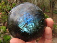 Polished Large Labradorite Spheres  x 2 From Tulear, Madagascar