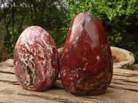 Polished Red Jasper Standing Free Forms  x 2 From Madagascar - Toprock Gemstones and Minerals 