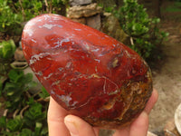 Polished Red Jasper Standing Free Forms  x 2 From Madagascar - Toprock Gemstones and Minerals 