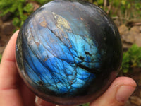 Polished Large Labradorite Spheres  x 2 From Tulear, Madagascar