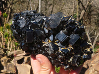 Natural Schorl Black Tourmaline With Hyalite Specimen x 1 From Erongo, Namibia