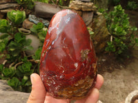 Polished Red Jasper Standing Free Forms  x 2 From Madagascar - Toprock Gemstones and Minerals 