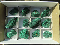 Natural Chatoyant Silky Malachite Specimens  x 12 From Kasompe, Congo