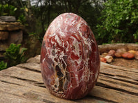 Polished Red Jasper Standing Free Forms  x 2 From Madagascar - Toprock Gemstones and Minerals 