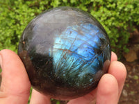 Polished Large Labradorite Spheres  x 2 From Tulear, Madagascar