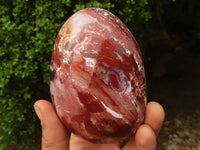 Polished Red Jasper Standing Free Forms  x 2 From Madagascar - Toprock Gemstones and Minerals 