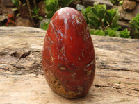 Polished Red Jasper Standing Free Forms  x 2 From Madagascar - Toprock Gemstones and Minerals 