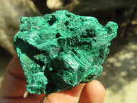 Natural Chatoyant Silky Malachite Specimens  x 12 From Kasompe, Congo