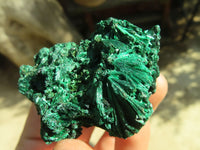 Natural Chatoyant Silky Malachite Specimens  x 12 From Kasompe, Congo