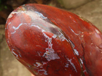 Polished Red Jasper Standing Free Forms  x 2 From Madagascar - Toprock Gemstones and Minerals 