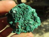 Natural Chatoyant Silky Malachite Specimens  x 12 From Kasompe, Congo