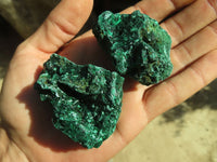 Natural Chatoyant Silky Malachite Specimens  x 12 From Kasompe, Congo