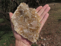 Natural Golden Limonite / Lemonite Quartz Clusters  x 10 From Solwezi, Zambia - TopRock