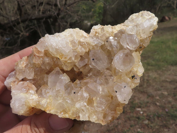 Natural Golden Limonite / Lemonite Quartz Clusters  x 10 From Solwezi, Zambia - TopRock