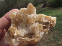 Natural Golden Limonite / Lemonite Quartz Clusters  x 10 From Solwezi, Zambia - TopRock