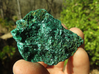 Natural Chatoyant Silky Malachite Specimens  x 12 From Kasompe, Congo