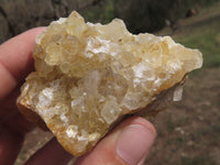 Natural Golden Limonite / Lemonite Quartz Clusters  x 10 From Solwezi, Zambia - TopRock