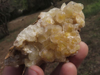 Natural Golden Limonite / Lemonite Quartz Clusters  x 10 From Solwezi, Zambia - TopRock