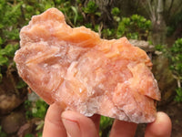 Natural New Sunset Orange Calcite Specimens  x 12 From Spitzkoppe, Namibia - Toprock Gemstones and Minerals 