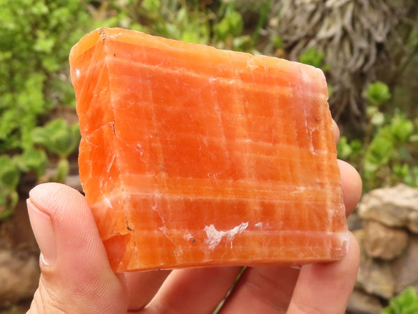 Natural New Sunset Orange Calcite Specimens  x 12 From Spitzkoppe, Namibia - Toprock Gemstones and Minerals 