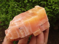 Natural New Sunset Orange Calcite Specimens  x 12 From Spitzkoppe, Namibia - Toprock Gemstones and Minerals 