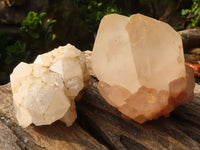 Natural Large Pineapple Candle Quartz Crystals  x 6 From Madagascar - Toprock Gemstones and Minerals 