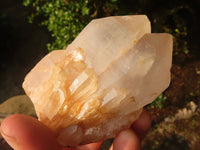 Natural Large Pineapple Candle Quartz Crystals  x 6 From Madagascar - Toprock Gemstones and Minerals 