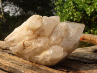 Natural Large Pineapple Candle Quartz Crystals  x 6 From Madagascar - Toprock Gemstones and Minerals 