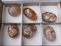 Polished Coral Flower Agate Palm Stones  x 6 From Madagascar - TopRock