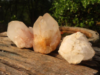 Natural Large Pineapple Candle Quartz Crystals  x 6 From Madagascar - Toprock Gemstones and Minerals 