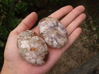 Polished Coral Flower Agate Palm Stones  x 6 From Madagascar - TopRock