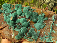 Natural Ball Malachite On Drusy Malachite  x 2 From Kambove, Congo