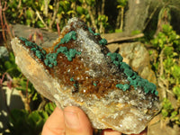 Natural Ball Malachite On Drusy Malachite  x 2 From Kambove, Congo