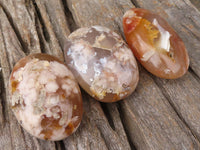 Polished Coral Flower Agate Palm Stones  x 6 From Madagascar - TopRock