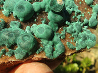 Natural Ball Malachite On Drusy Malachite  x 2 From Kambove, Congo