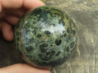 Polished Stromatolite / Kambamba Jasper Spheres  x 6 From Mahajanga, Madagascar - TopRock