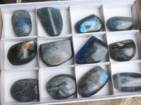 Polished Labradorite Standing Free Forms With Deep Blue Flash x 12 From Tulear, Madagascar - TopRock