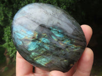 Polished Labradorite Standing Free Forms With Deep Blue Flash x 12 From Tulear, Madagascar - TopRock