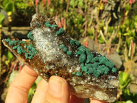 Natural Ball Malachite On Drusy Malachite  x 2 From Kambove, Congo