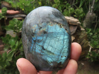 Polished Labradorite Standing Free Forms With Deep Blue Flash x 12 From Tulear, Madagascar - TopRock