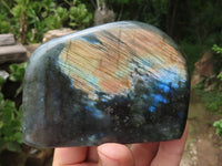 Polished Labradorite Standing Free Forms With Deep Blue Flash x 12 From Tulear, Madagascar - TopRock