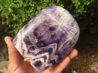 Polished Large Dream Amethyst Standing Free Form x 1 From Madagascar - Toprock Gemstones and Minerals 