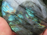 Polished Labradorite Standing Free Forms With Deep Blue Flash x 12 From Tulear, Madagascar - TopRock