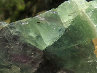 Natural Cobbed Watermelon Fluorite Specimens  x 5 From Uis, Namibia - TopRock