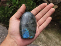 Polished Labradorite Standing Free Forms With Deep Blue Flash x 12 From Tulear, Madagascar - TopRock