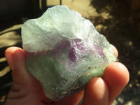 Natural Rough Watermelon Fluorite Cobbed Specimens  x 12 From Uis, Namibia