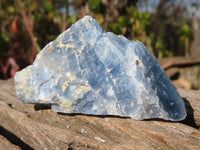 Natural New Sky Blue Calcite Specimens  x 35 From Spitzkop, Namibia