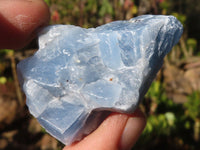 Natural New Sky Blue Calcite Specimens  x 35 From Spitzkop, Namibia