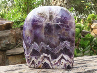 Polished Large Dream Amethyst Standing Free Form x 1 From Madagascar - Toprock Gemstones and Minerals 